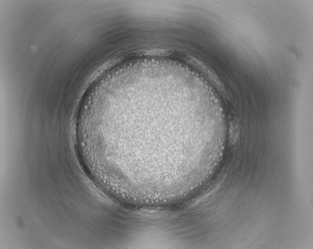 X0000114510725200911161254