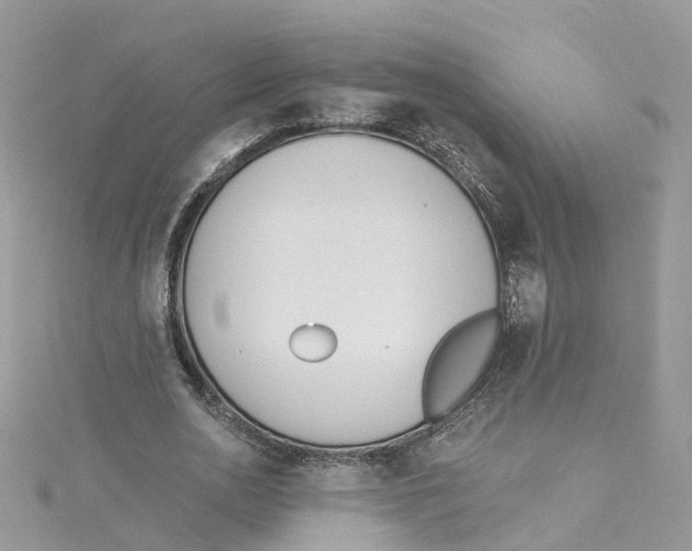 X0000114510726200911161254