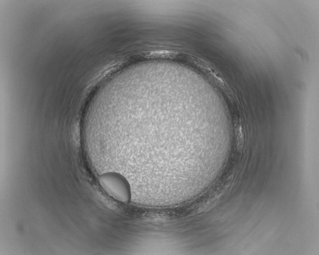 X0000114510729200911161254