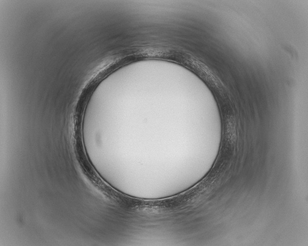 X0000114510730200911161254