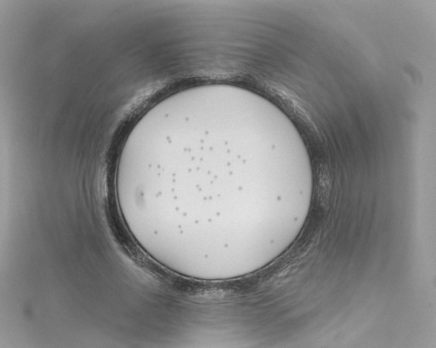 X0000114510734200911161254