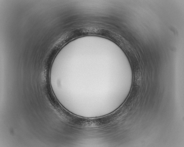 X0000114510735200911161254