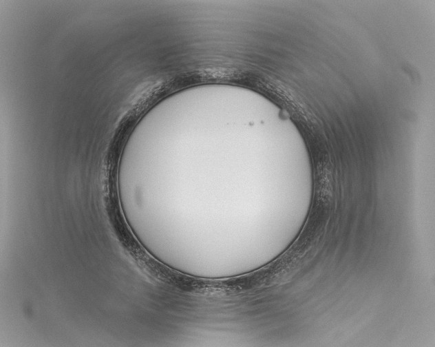 X0000114510738200911161254