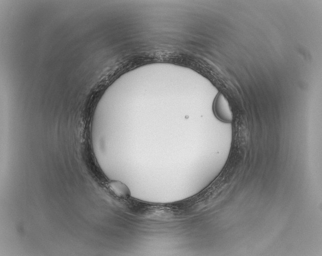 X0000114510750200911161255