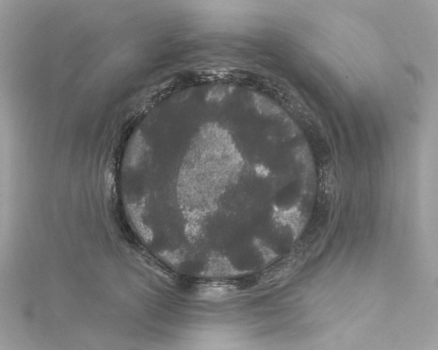 X0000114510754200911161255