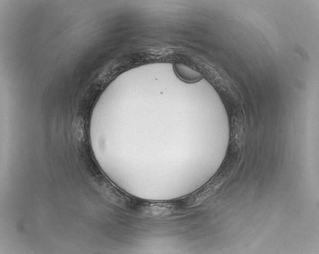 X0000114510758200911161255