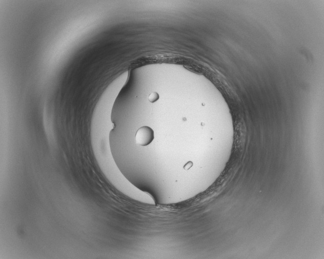 X0000114510762200911161255