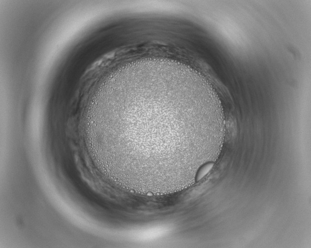 X0000114510765200911161255