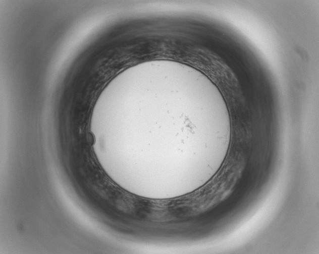 X0000114510766200911161255