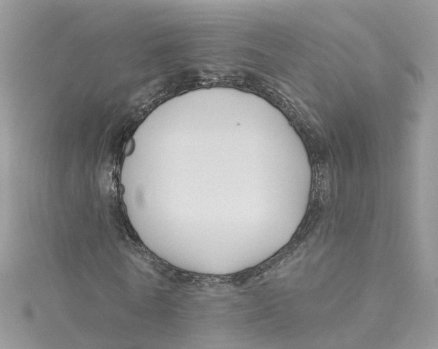 X0000114510770200911161254