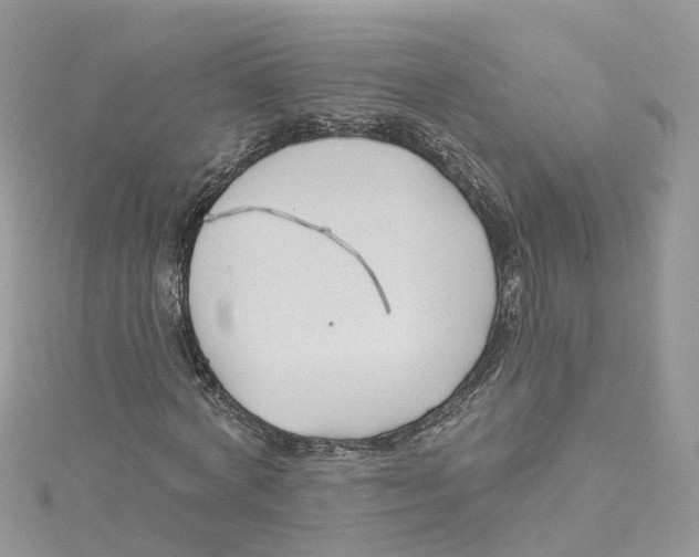 X0000114510772200911161254