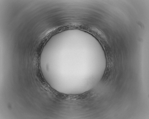 X0000114510773200911161254