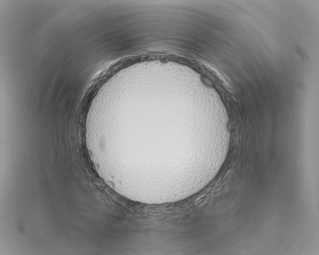 X0000114510776200911161254