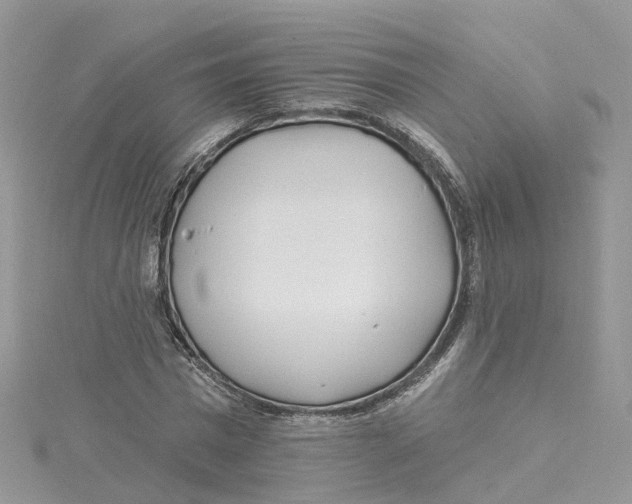 X0000114510777200911161254