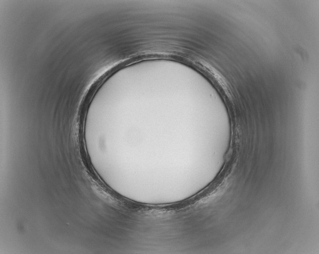 X0000114510779200911161254