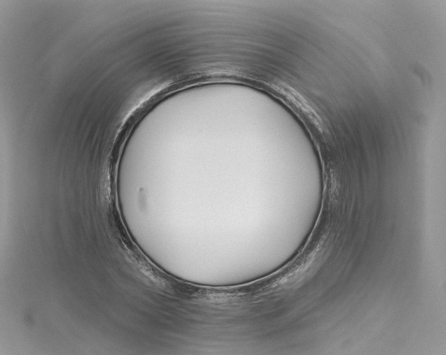 X0000114510782200911161254