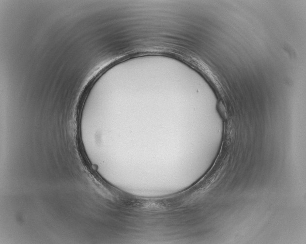 X0000114510787200911161254