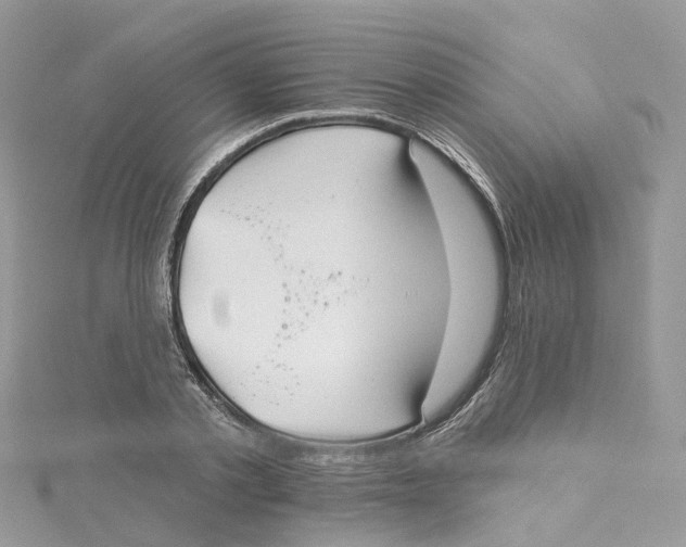 X0000114510789200911161254