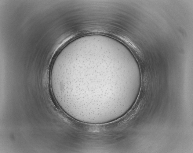 X0000114510790200911161254