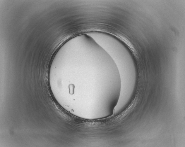 X0000114510793200911161254