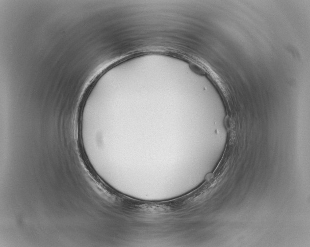 X0000114510795200911161254