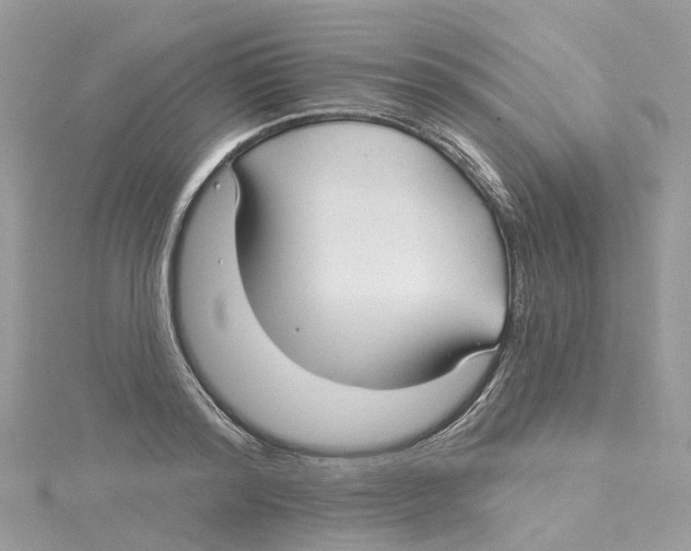 X0000114510796200911161254