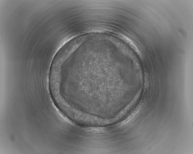 X0000114510802200911161254