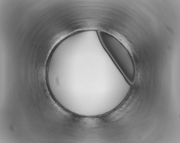 X0000114510805200911161254