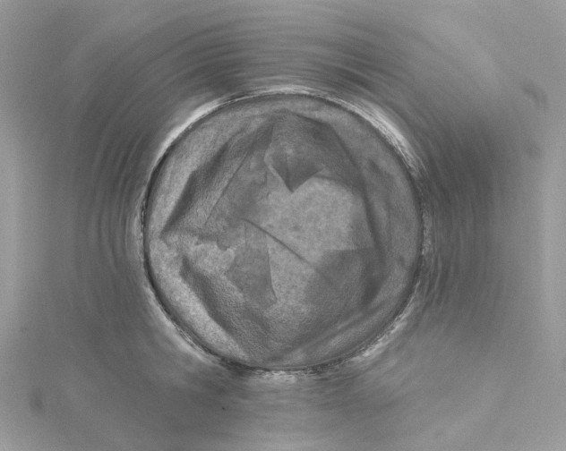 X0000114510806200911161254