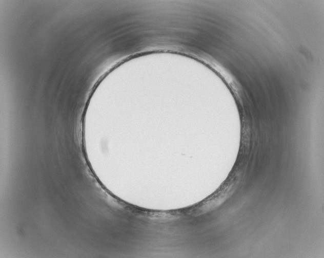 X0000114510807200911161254