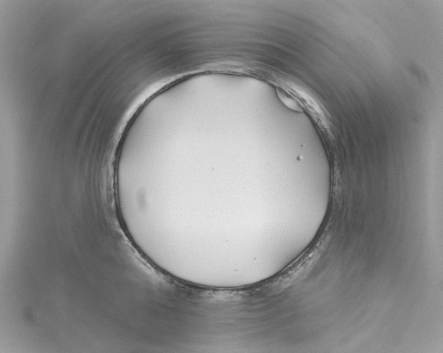 X0000114510808200911161254