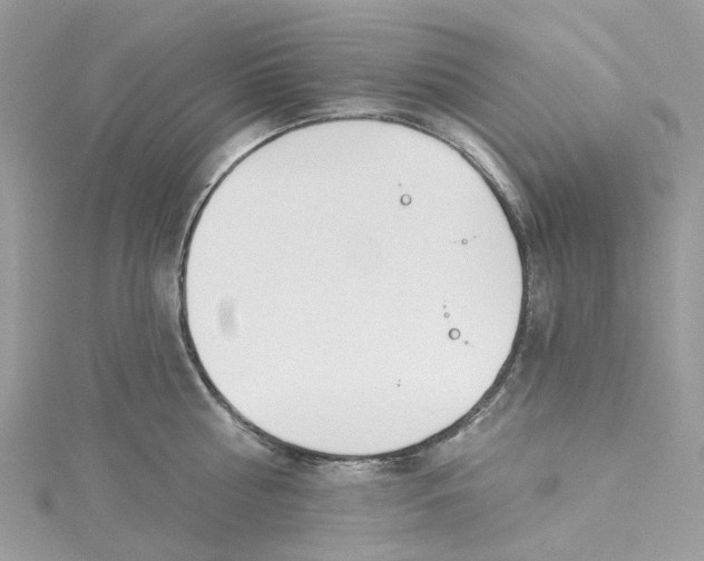 X0000114510810200911161254