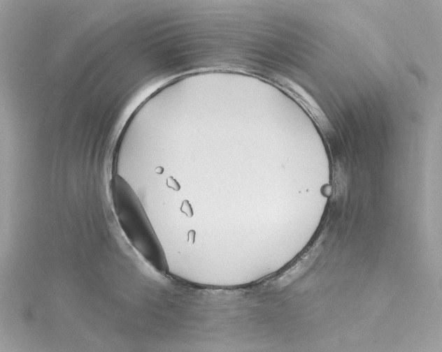 X0000114510812200911161254