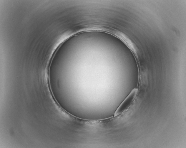 X0000114510813200911161254