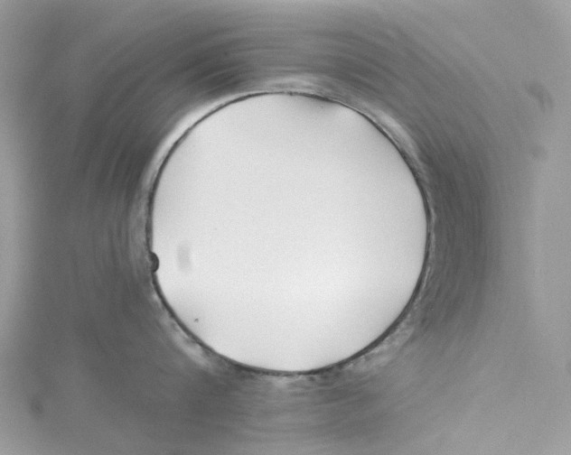 X0000114510816200911161254