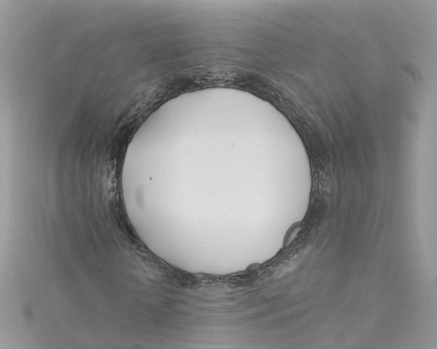 X0000114510818200911161253