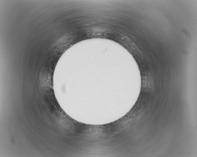 X0000114510820200911161253