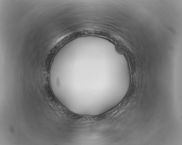 X0000114510822200911161253