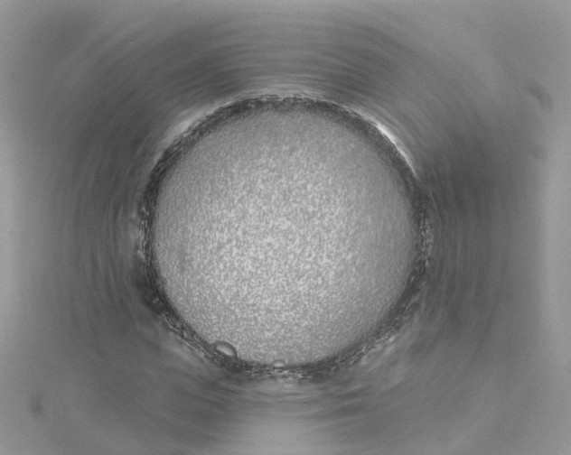 X0000114510823200911161253