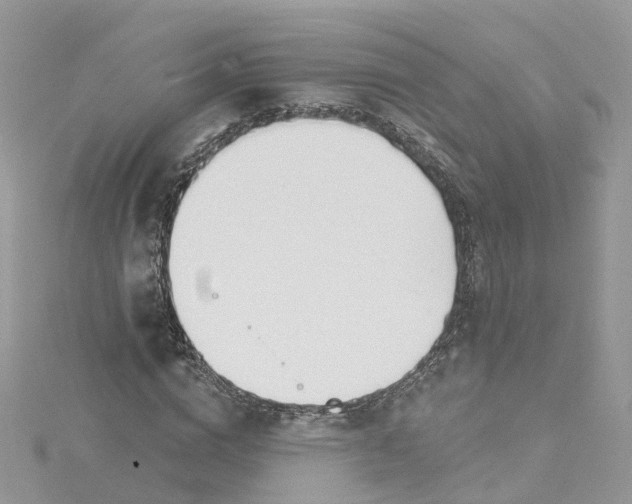 X0000114510824200911161253