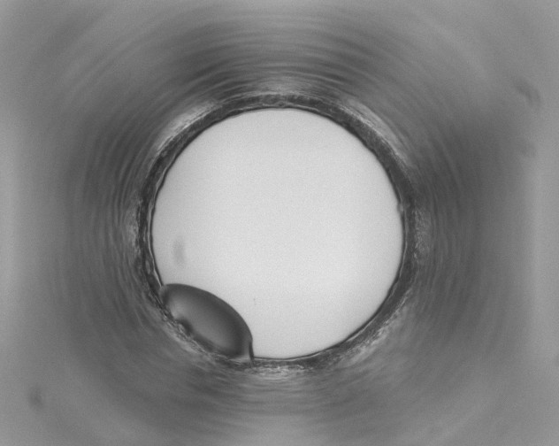 X0000114510826200911161253