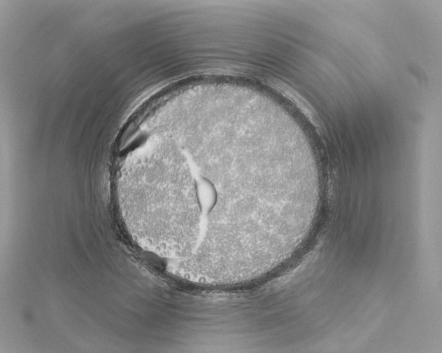 X0000114510829200911161253