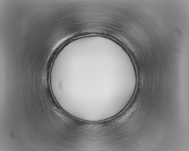 X0000114510830200911161253