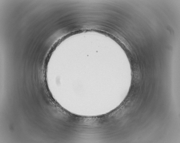 X0000114510832200911161253