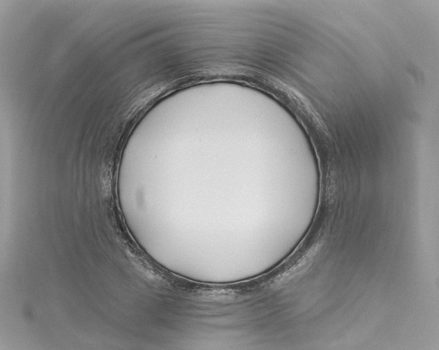 X0000114510833200911161253