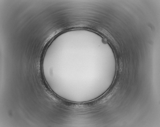 X0000114510834200911161253