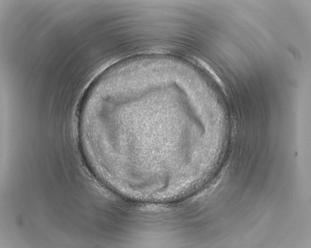 X0000114510835200911161253