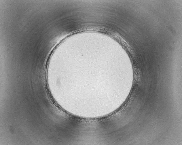 X0000114510836200911161253