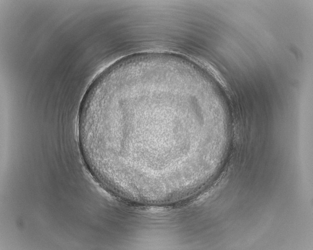 X0000114510839200911161253