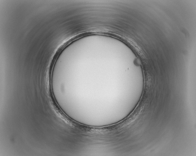 X0000114510840200911161253